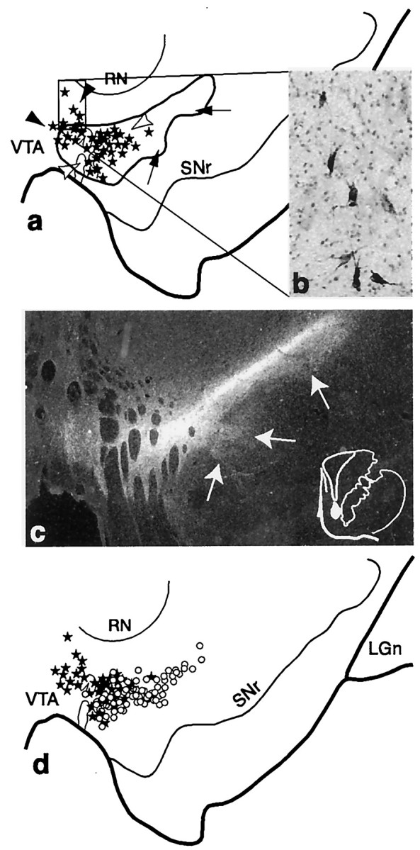 Fig. 3.