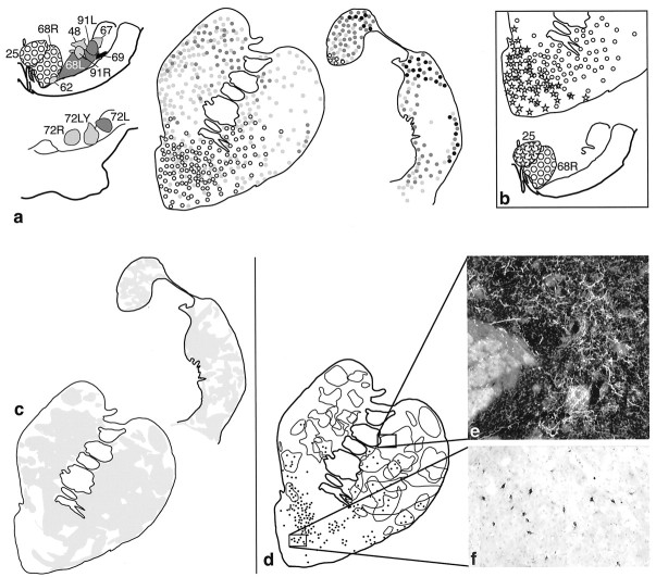 Fig. 9.