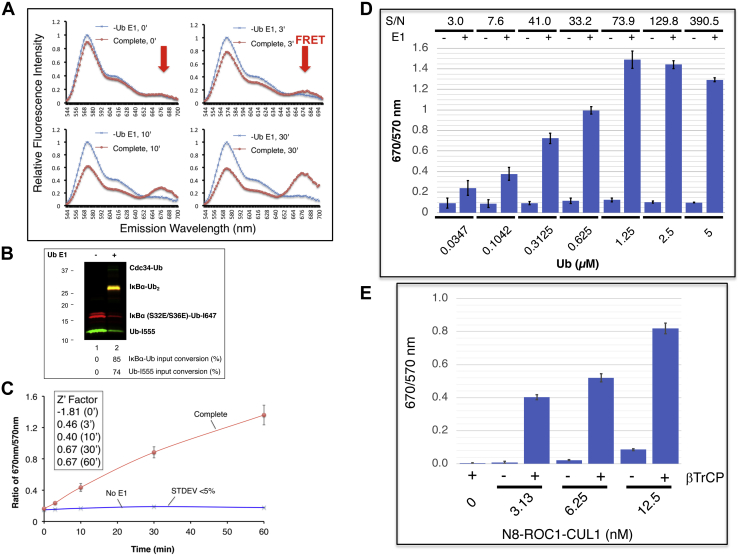 Figure 3