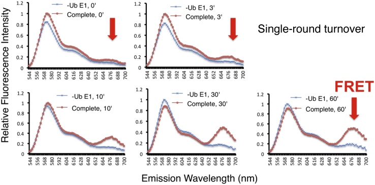 Figure 4