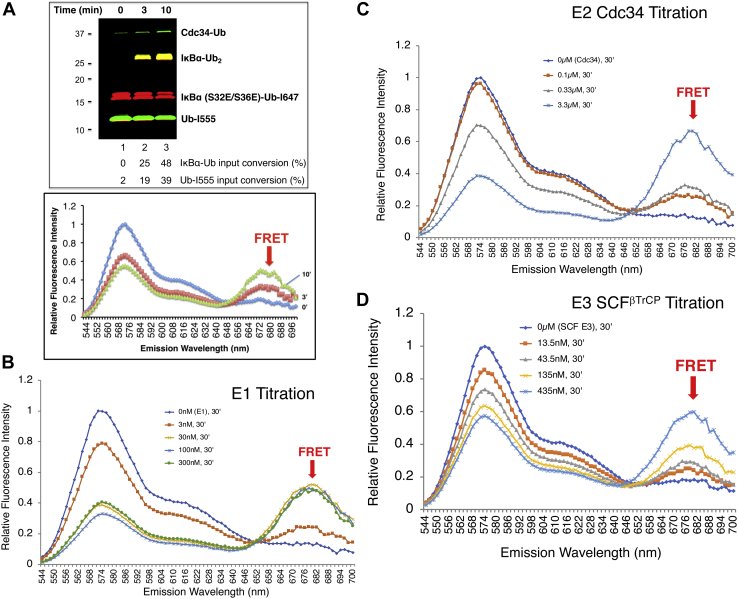 Figure 2