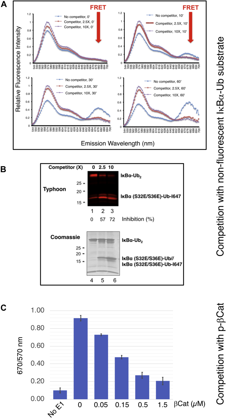 Figure 5