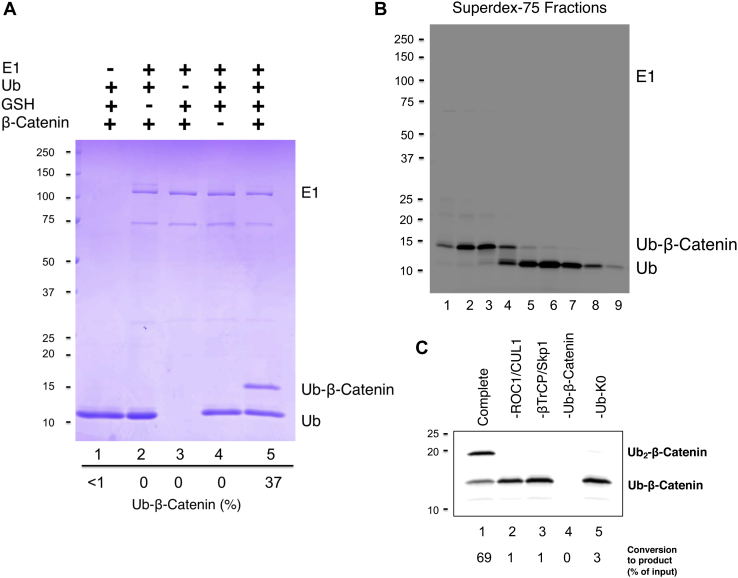 Figure 7