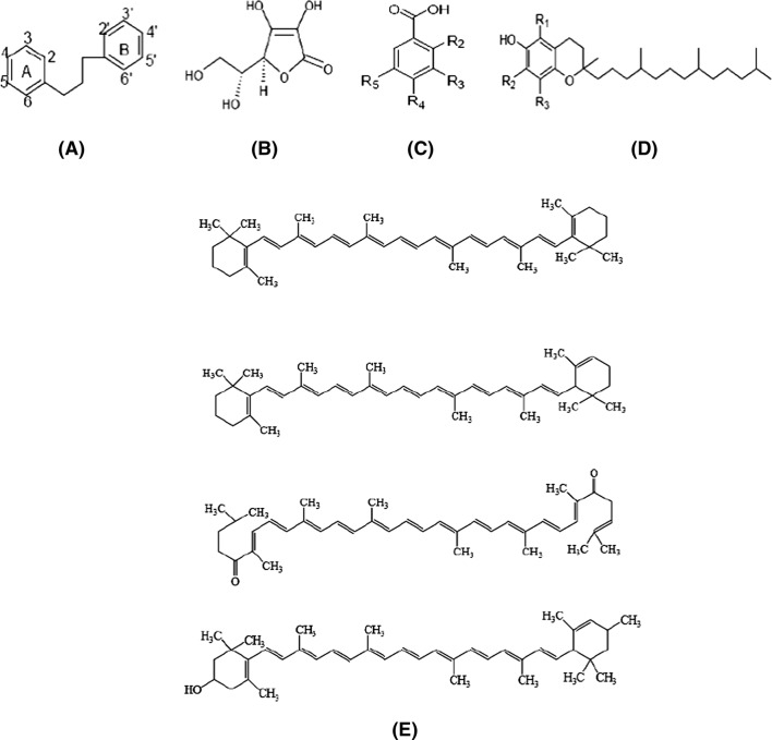 Fig. 1