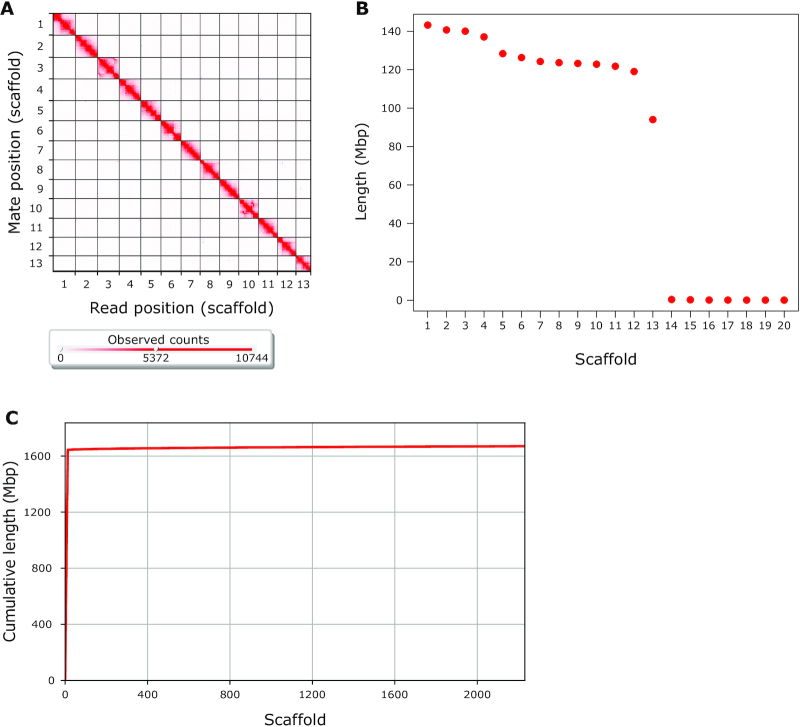 Figure 2: