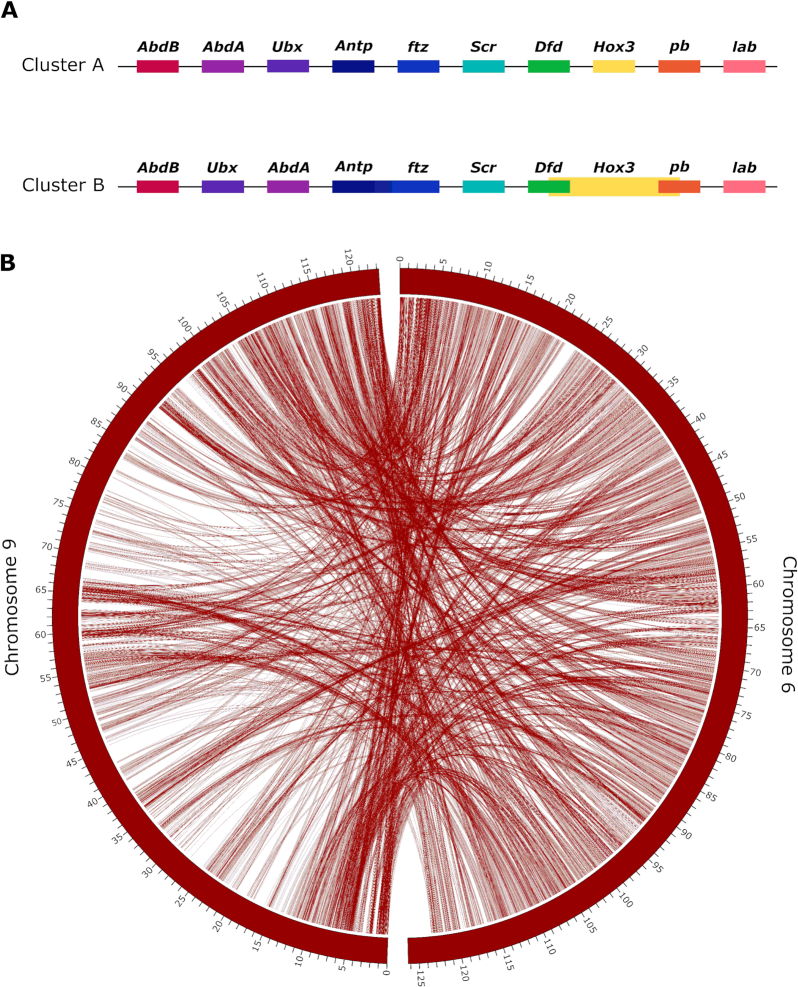 Figure 3: