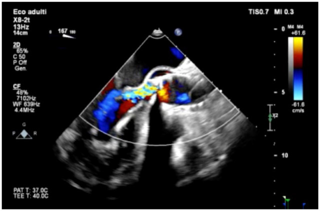 Fig. 1.