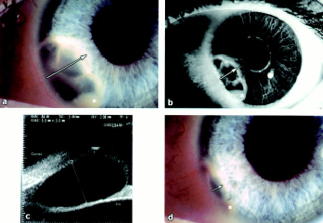 Figure 1  