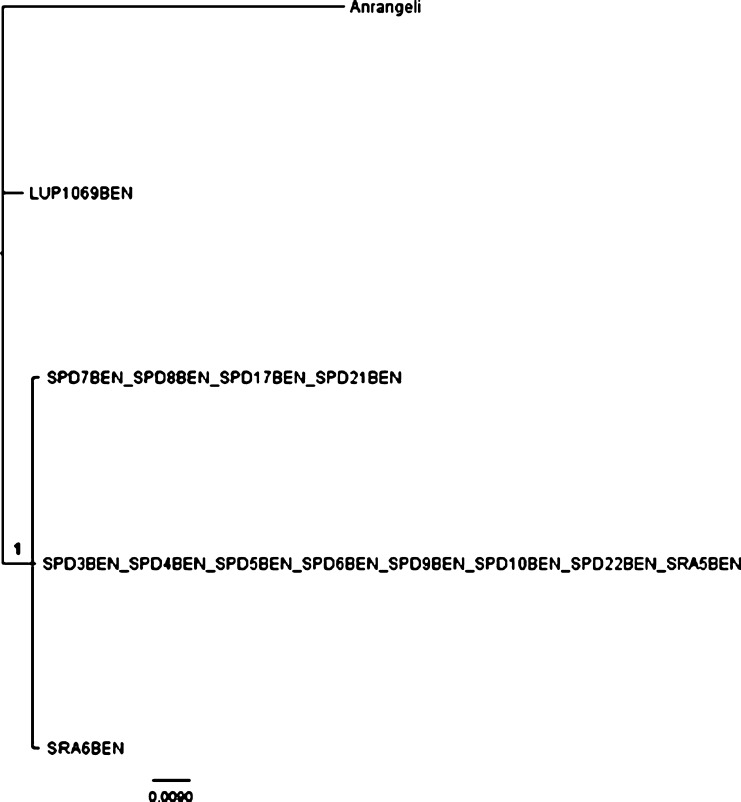 Figure 4.