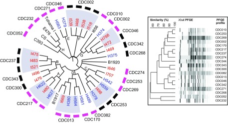 FIG 2 