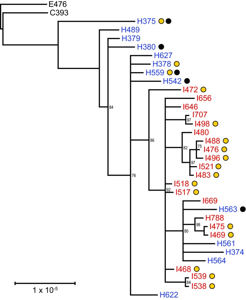 FIG 3 