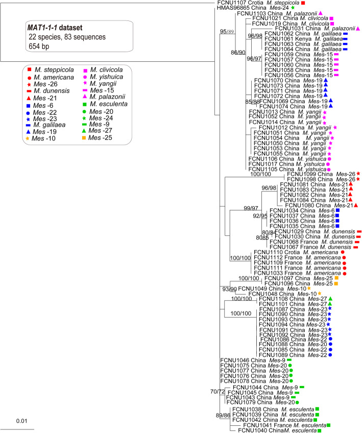 Fig. 4