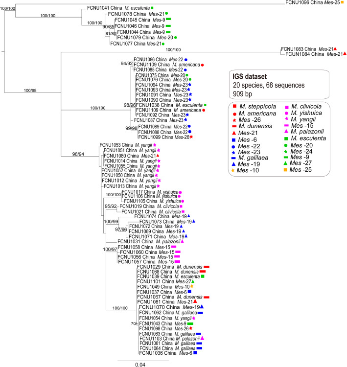 Fig. 7