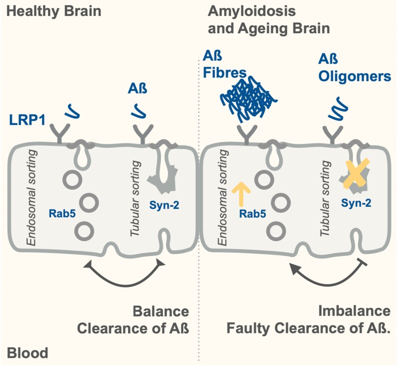 Graphical Abstract