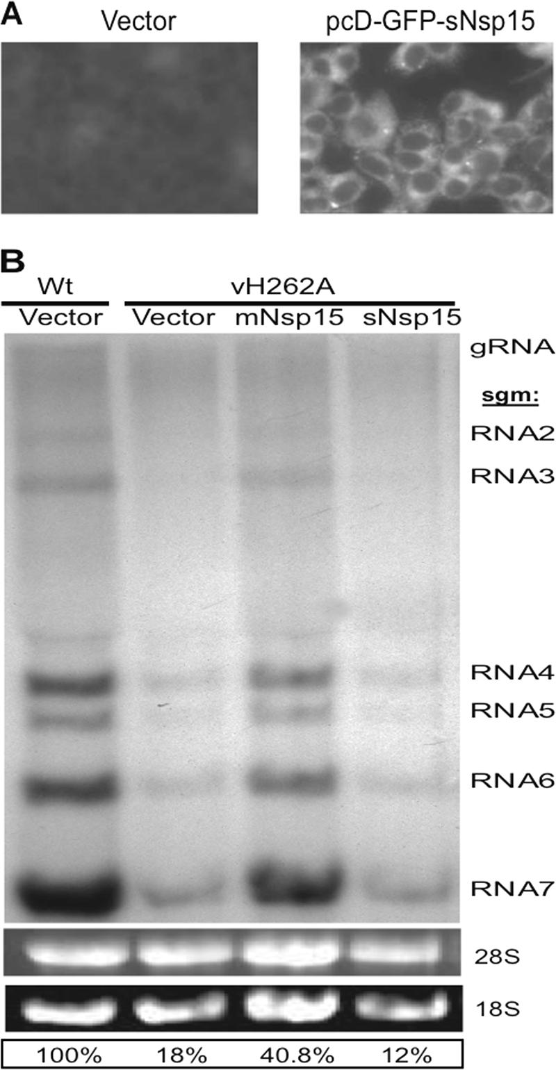 FIG. 5.