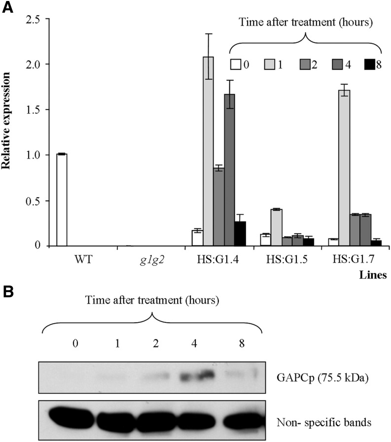 Figure 6.