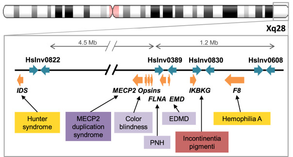 Figure 5.