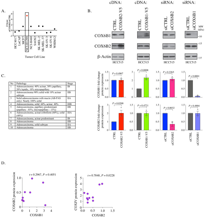 Figure 1—figure supplement 1.