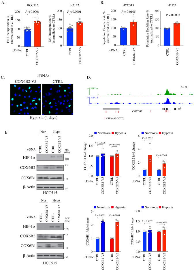 Figure 4—figure supplement 1.