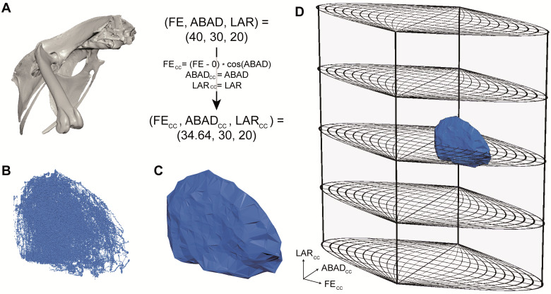 Fig. 7