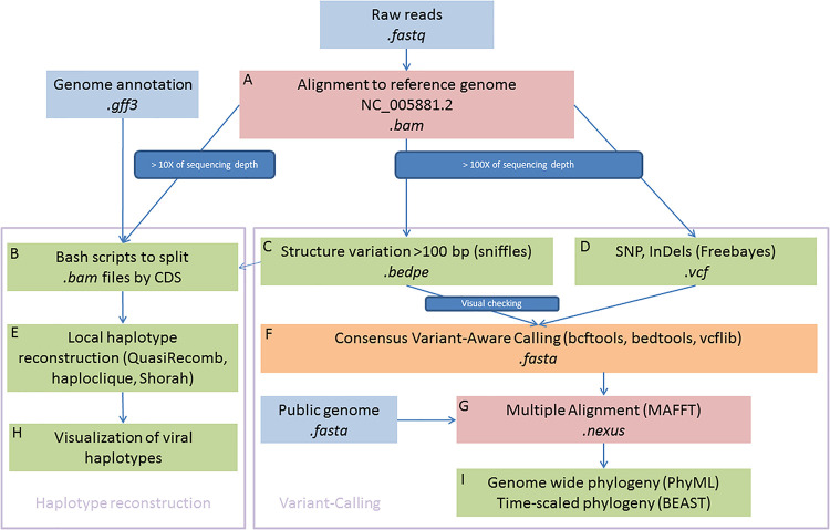 FIGURE 1