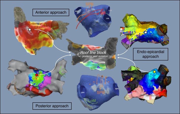 Graphical Abstract