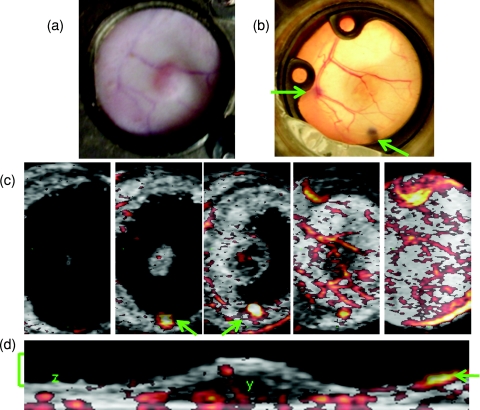 Figure 6