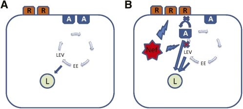 Fig. 9.