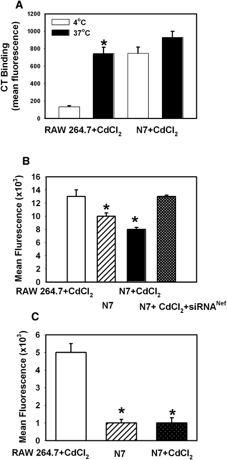 Fig. 7.