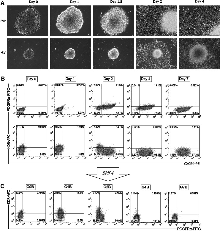 FIG. 2.