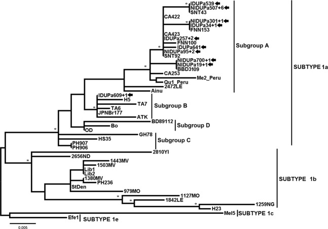 Figure 2