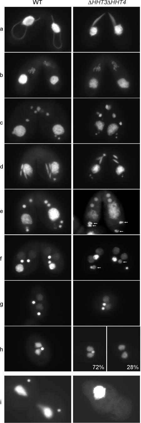 FIG. 7.