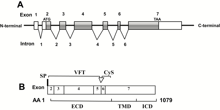 Figure 1.