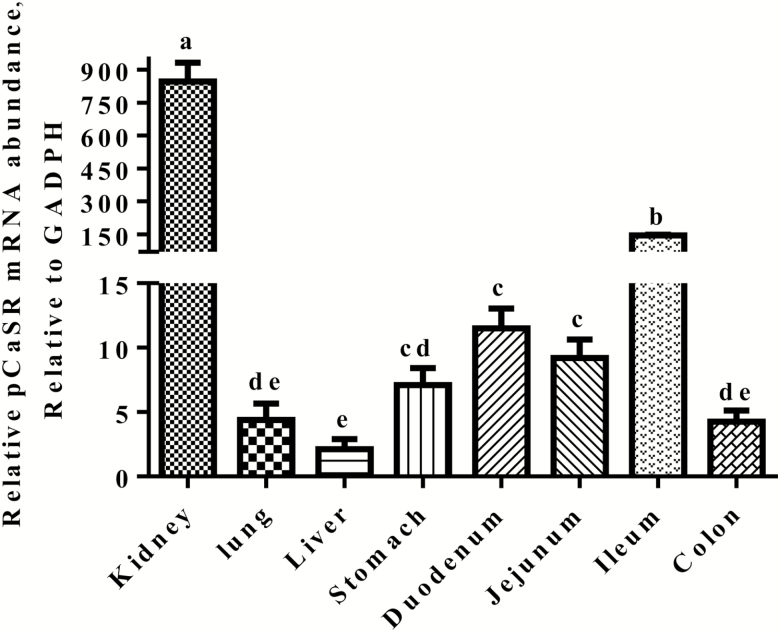 Figure 5.