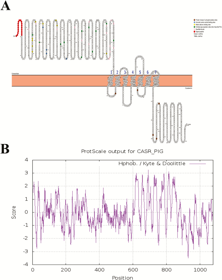 Figure 3.