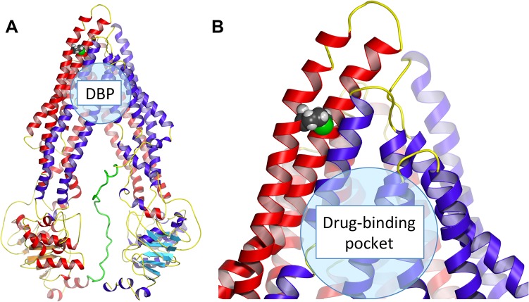 Fig 5