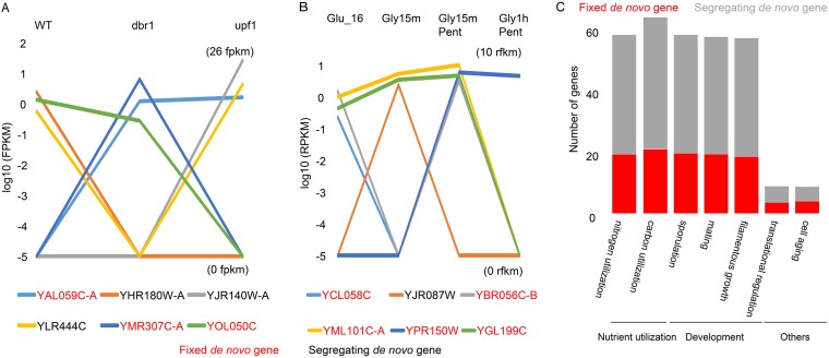 FIG 2 