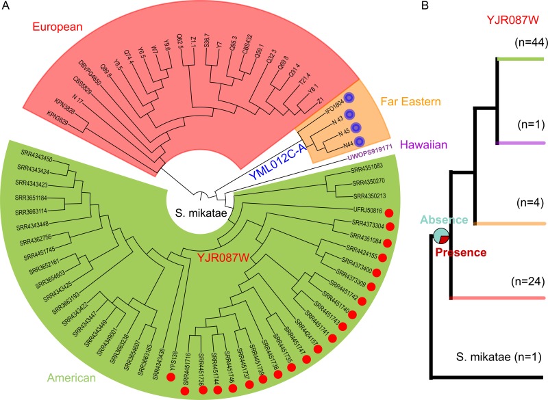 FIG 6 