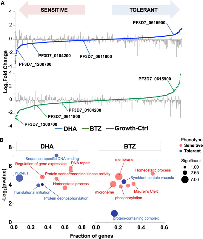 FIG 2