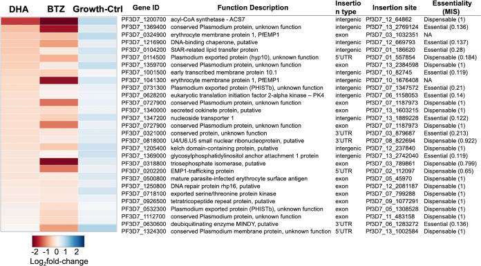 FIG 3