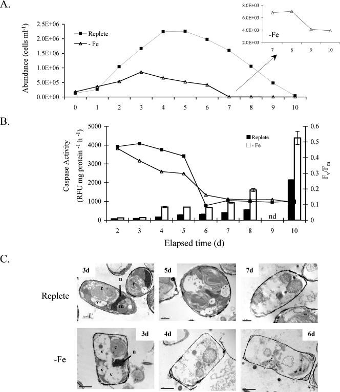 FIG. 1.