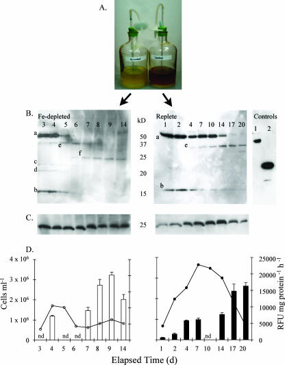 FIG. 6.