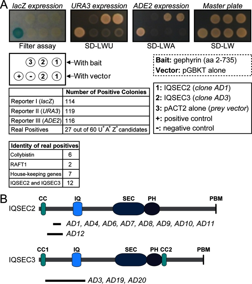 FIGURE 1.