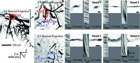 Fig. 4.