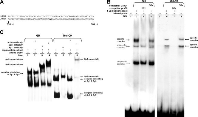 FIG. 7.