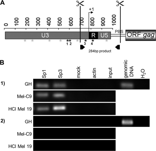 FIG. 6.