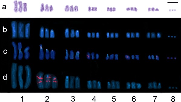 Fig. 1