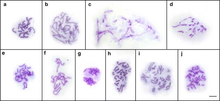 Fig. 4