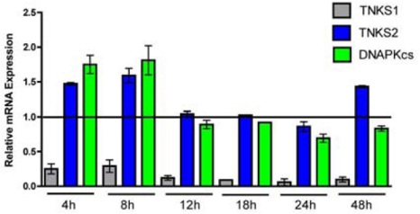 Figure 5.