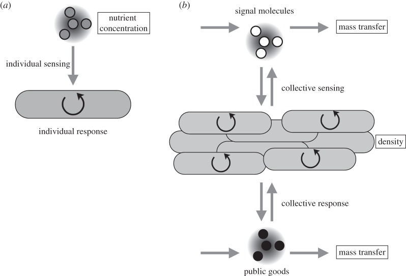 Figure 1.